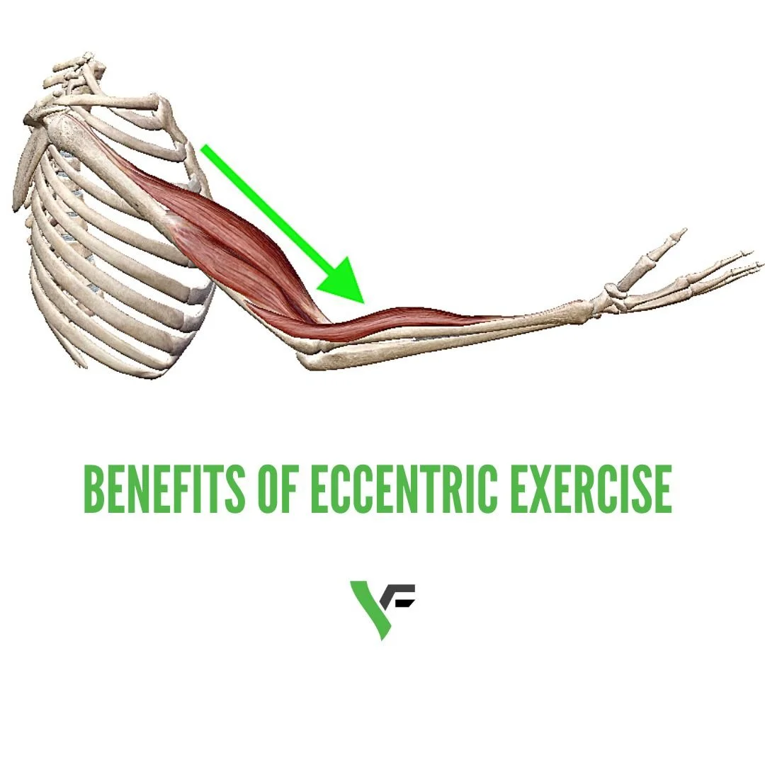 The Benefits of Eccentric Exercise